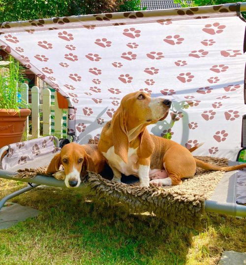 68b05527-315f-4c97-80c0-2c019b0948fd_tinified