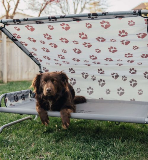 Fly_Kylie_DogBed-8_tinified_1024-840