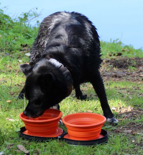 IMG_5860_tinified_1024-840